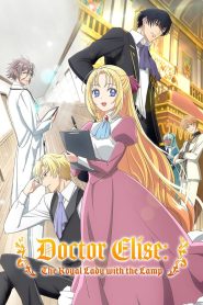 Doctor Elise: The Royal Lady with the Lamp (2004)